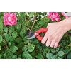 image:imageCRAFTSMAN CMXMKIT0170 Tree amp Shrub Pruning Set with Bypass Pruning Shears Bypass Lopper and Folding Pruning SawTree  Shrub Pruning Set